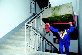 商丘家政服務 專業與便捷，提升家庭生活品質